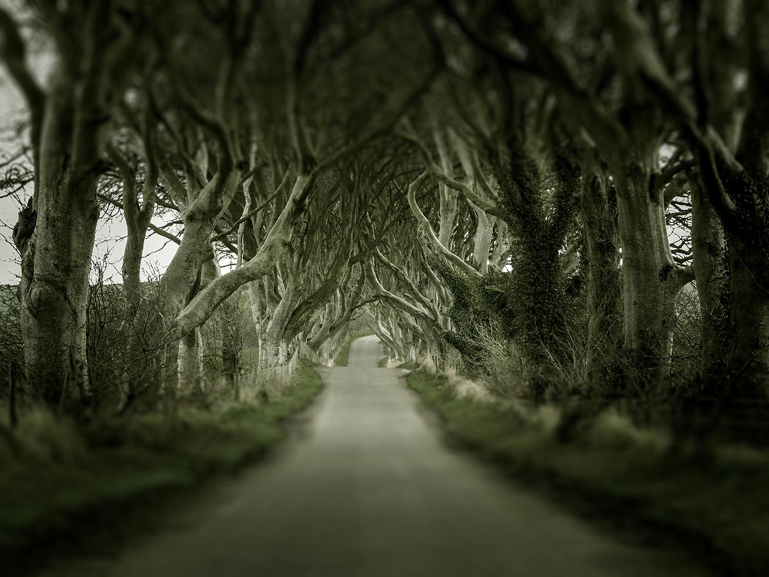 Planning a destination wedding in Ireland